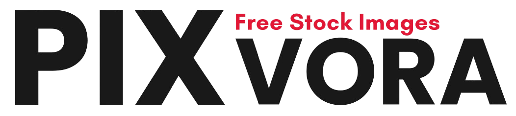 Pixvora Logo